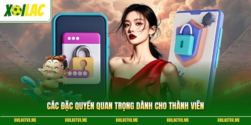 Các đặc quyền quan trọng dành cho thành viên