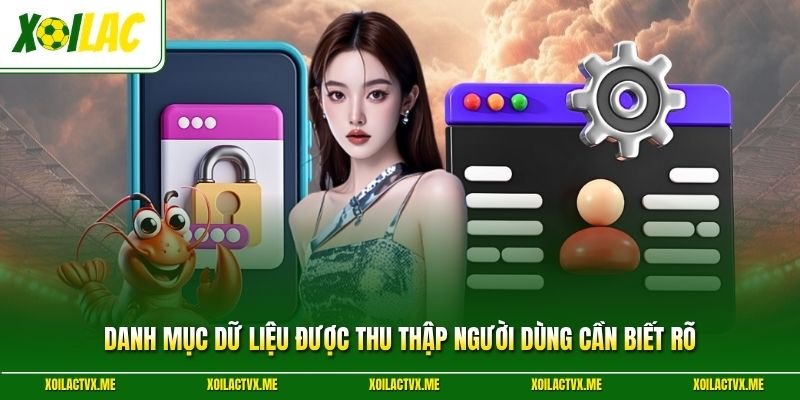 Danh mục dữ liệu được thu thập người dùng cần biết rõ
